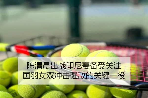 陈清晨出战印尼赛备受关注 国羽女双冲击强敌的关键一役